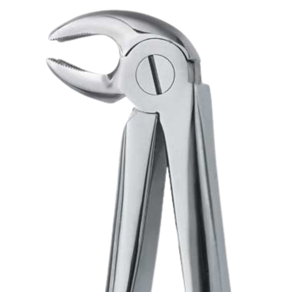 [5005-23] Lower Molars, Right | Standard Extraction Forcep | ErgoDenta