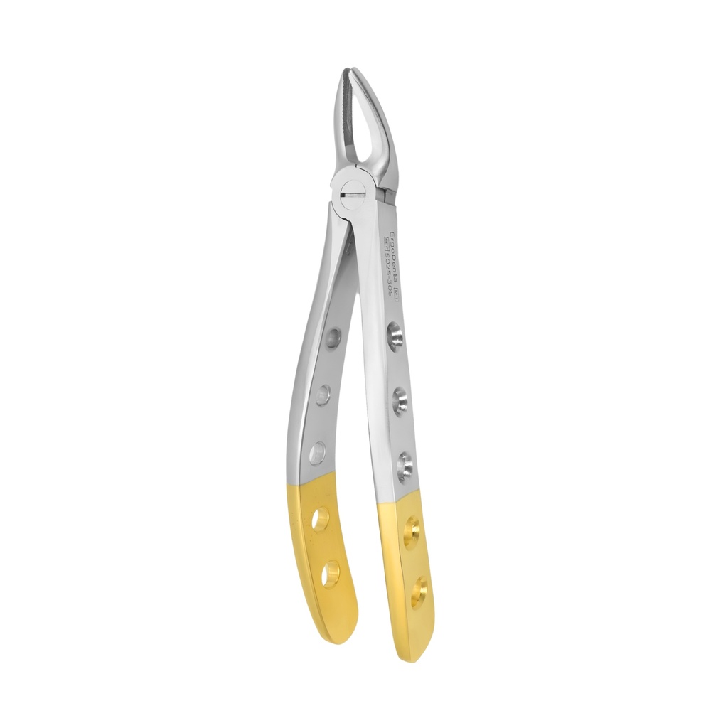 [5025-30S] Upper Front | Diamond Extraction Forcep | ErgoDenta
