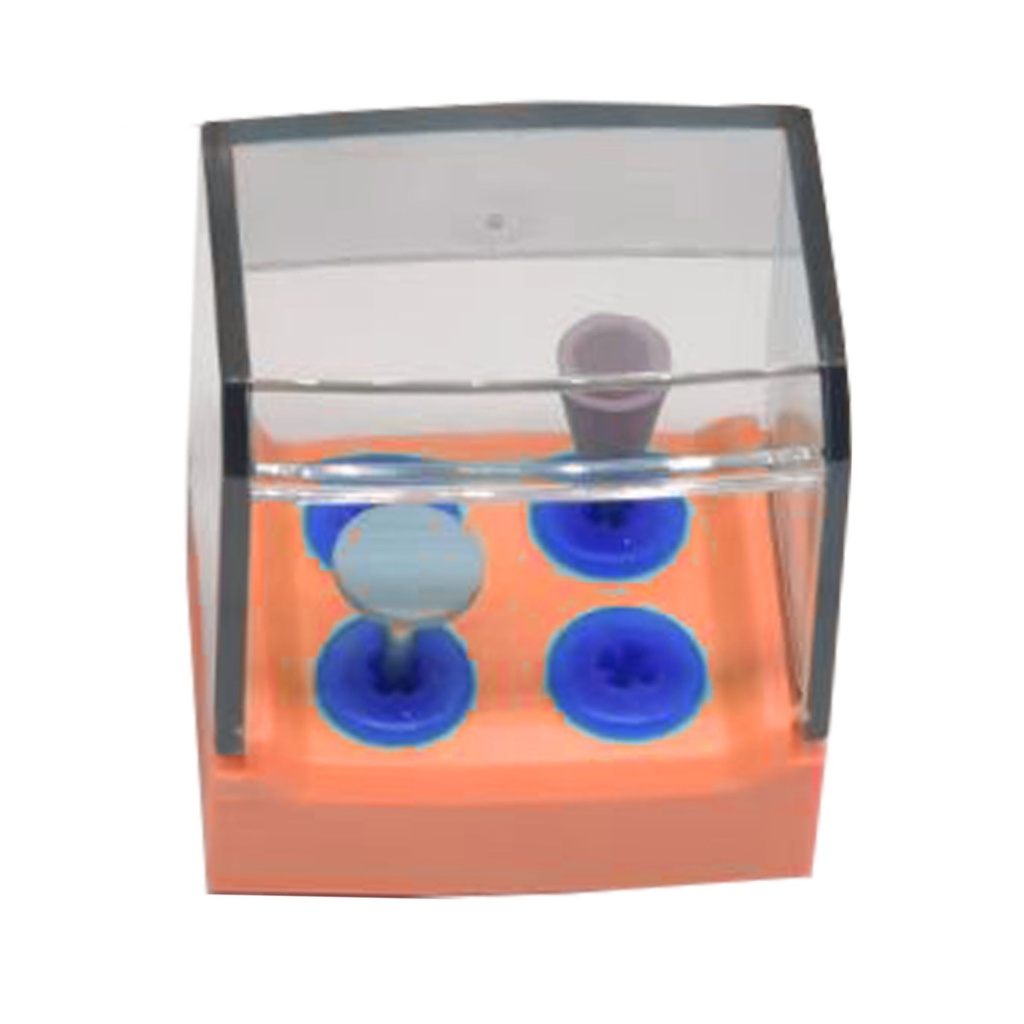[7456O] Equipment of high temperature and high pressure disinfection box, 4 Holes, Orange | ErgoDenta