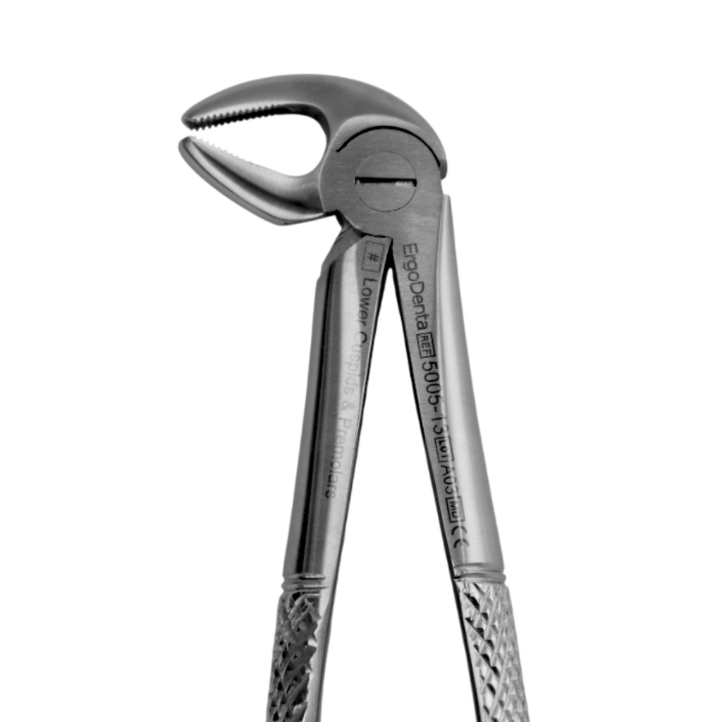 [5005-13] Lower Molars and Premolars | Standard Extraction Forcep | ErgoDenta