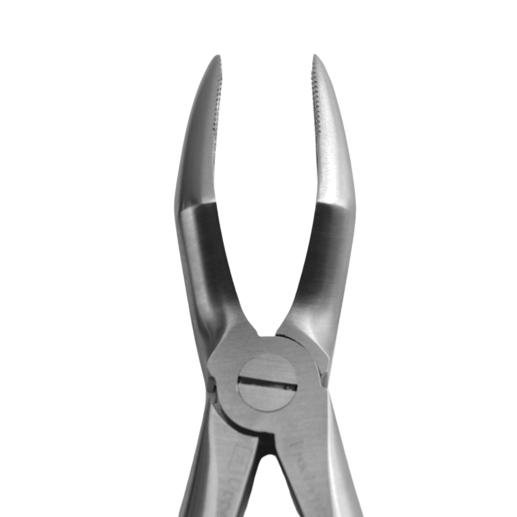 [5005-51A] Upper Roots | Standard Extraction Forcep | ErgoDenta