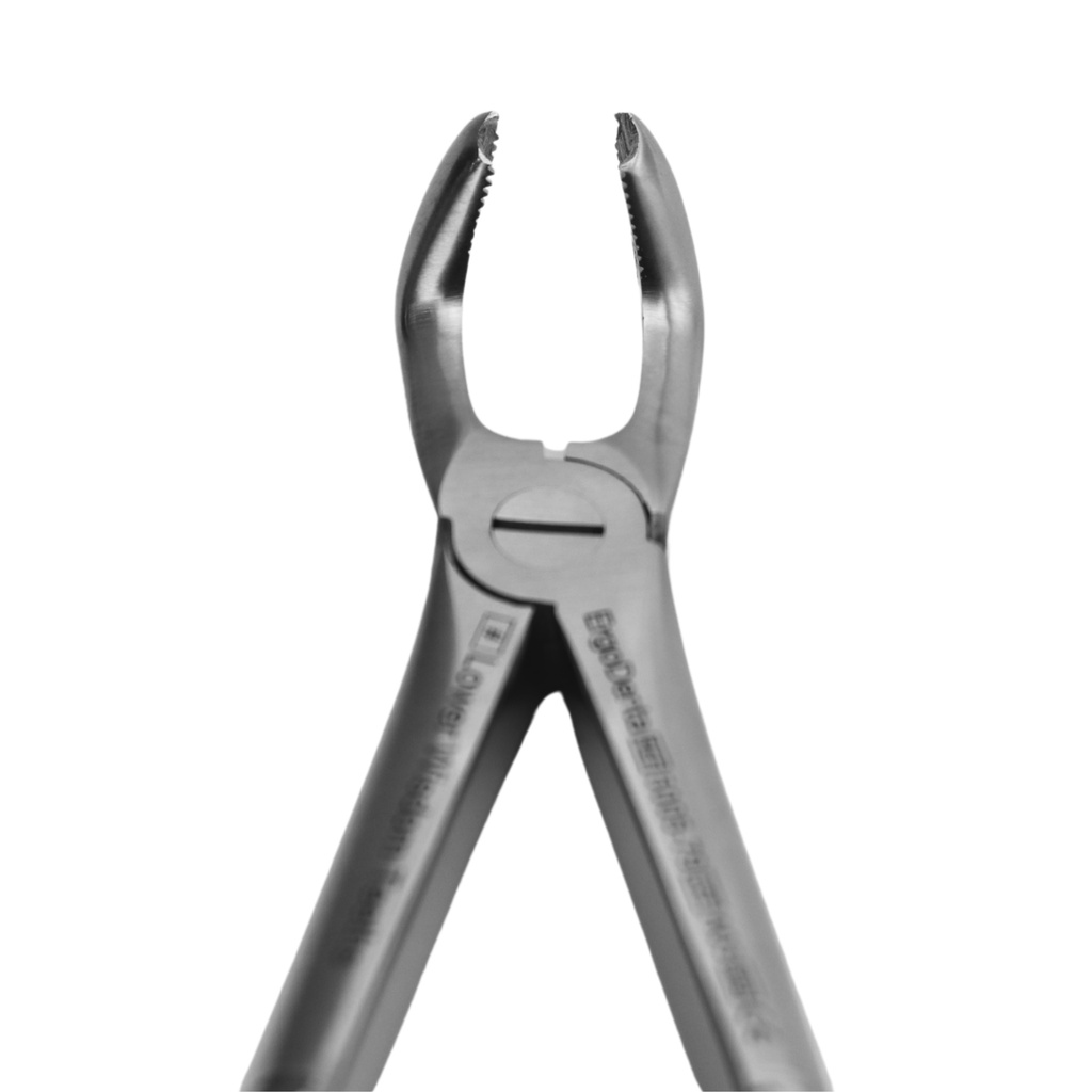 [5005-79] Lower Wisdom Teeth | Standard Extraction Forcep | ErgoDenta