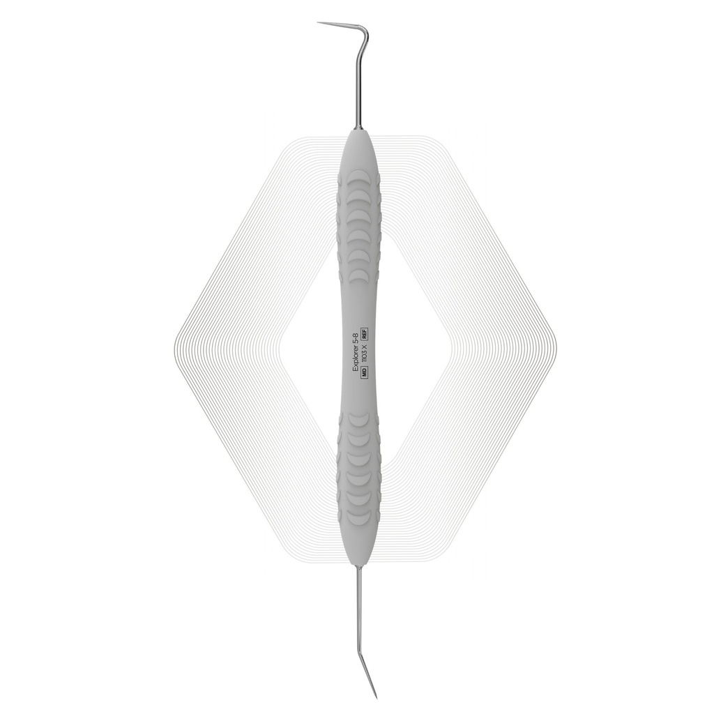 Explorer 5-8 | ErgoDenta