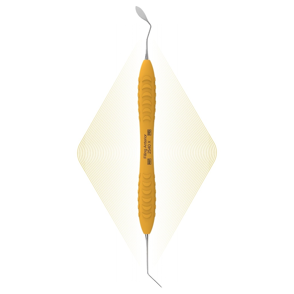 Filling Anterior | ErgoDenta