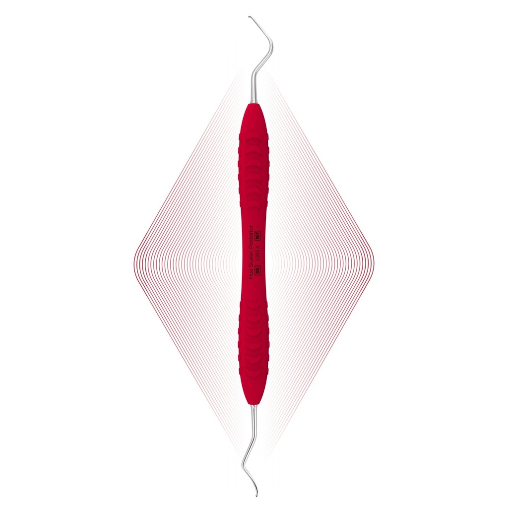 [2283 X] Hoe Scaler, Posterior | ErgoDenta (ErgoX)