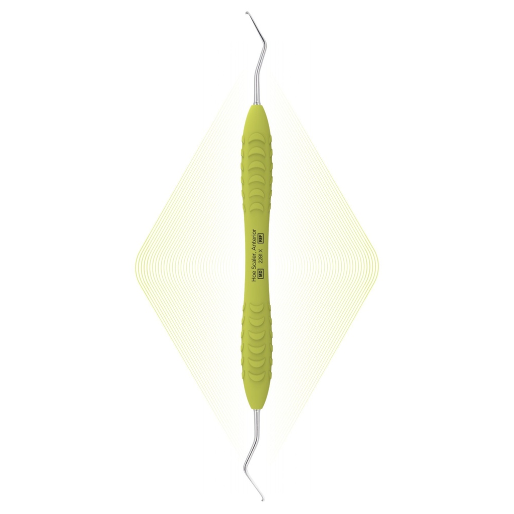 Hoe Scaler, Anterior | ErgoDenta