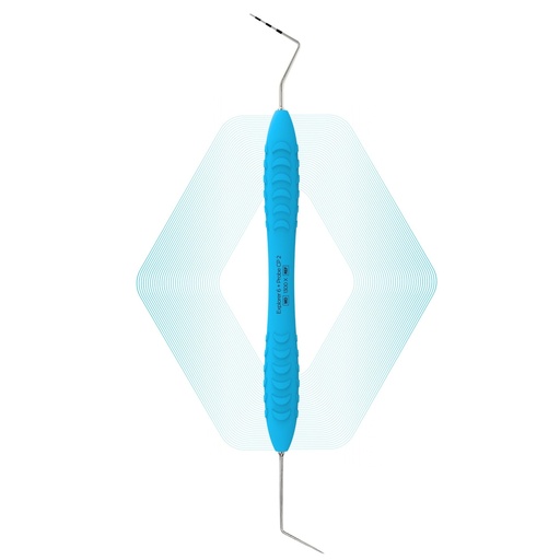 Explorer 6 + Probe CP-2 | ErgoDenta