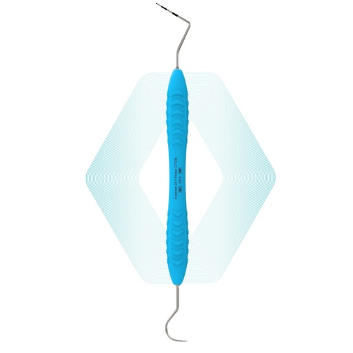 Explorer 23 + Probe CP-12B | ErgoDenta