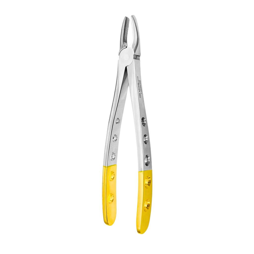 [5025-1] Upper Incisors and Molars | Diamond Extraction Forcep | ErgoDenta