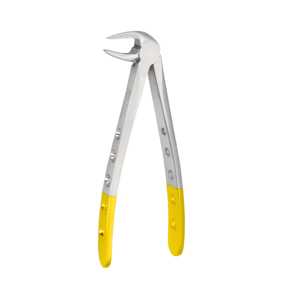 [5025-13] Lower Molars and Premolars | Diamond Extraction Forcep | ErgoDenta
