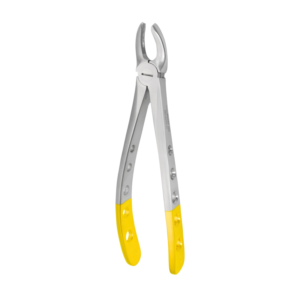 [5025-17] Upper Molars, Right | Diamond Extraction Forcep | ErgoDenta