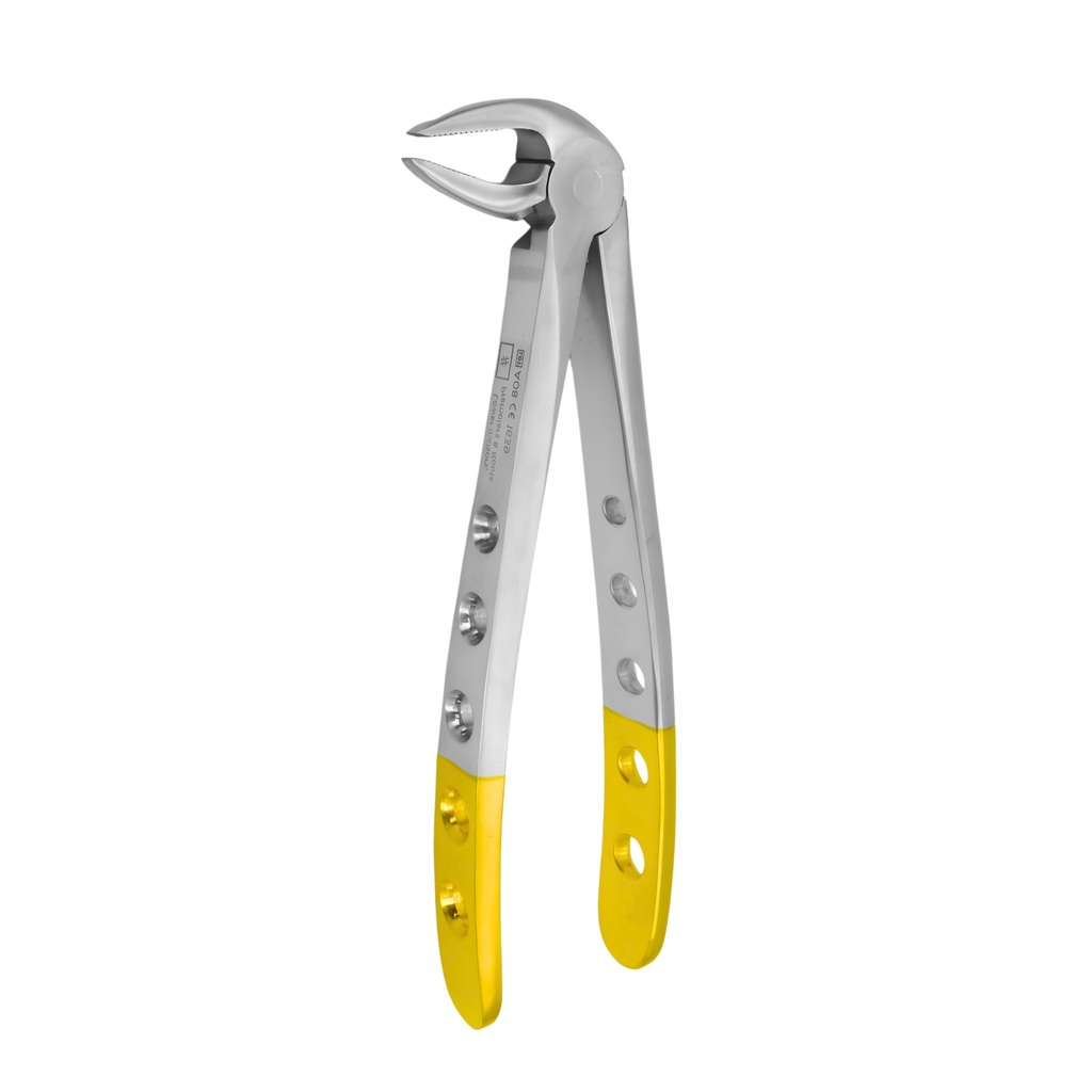 [5025-33A] Lower Incisors, Premolars and Roots | Diamond Extraction Forcep | ErgoDenta