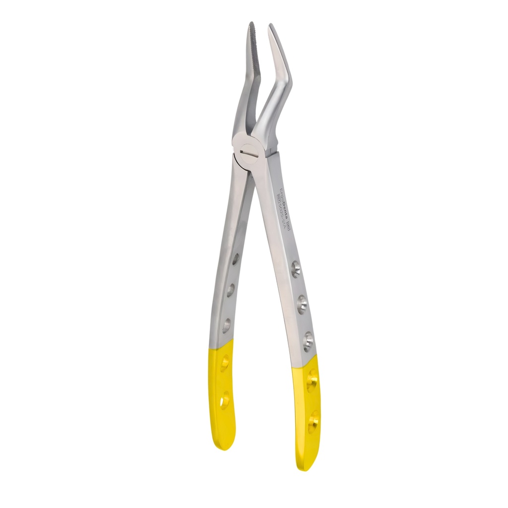 [5025-51A] Upper Roots | Diamond Extraction Forcep | ErgoDenta