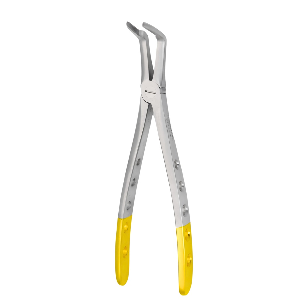 [5025-46] Upper Roots | Diamond Extraction Forcep | ErgoDenta