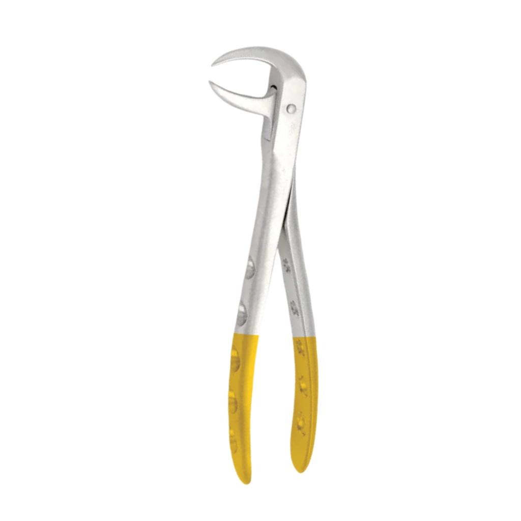 [5025-86A] Lower Molars | Diamond Extraction Forcep | ErgoDenta