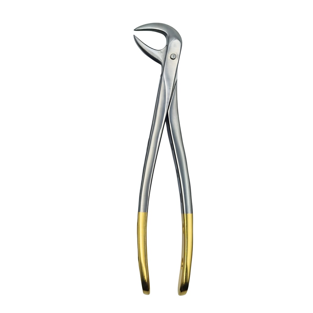 [5025-86B] Lower Molars | Diamond Extraction Forcep | ErgoDenta