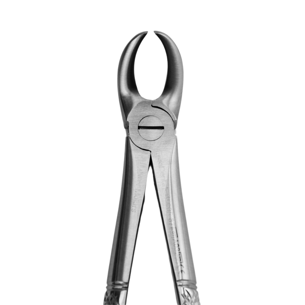 [5005-87] Lower Molars | Standard Extraction Forcep | ErgoDenta