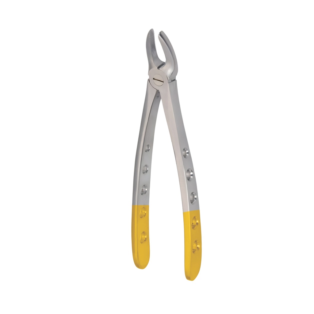 [5025-99] Hertz (Lower Molars) | Diamond Extraction Forcep | ErgoDenta