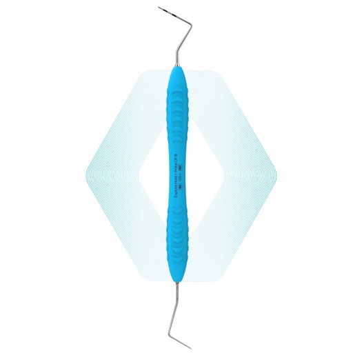 Explorer Holst + Probe CP-18 | ErgoDenta