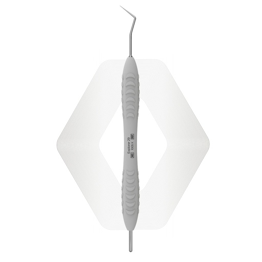 [1005 X] Sonde 29 | ErgoDenta (ErgoX)