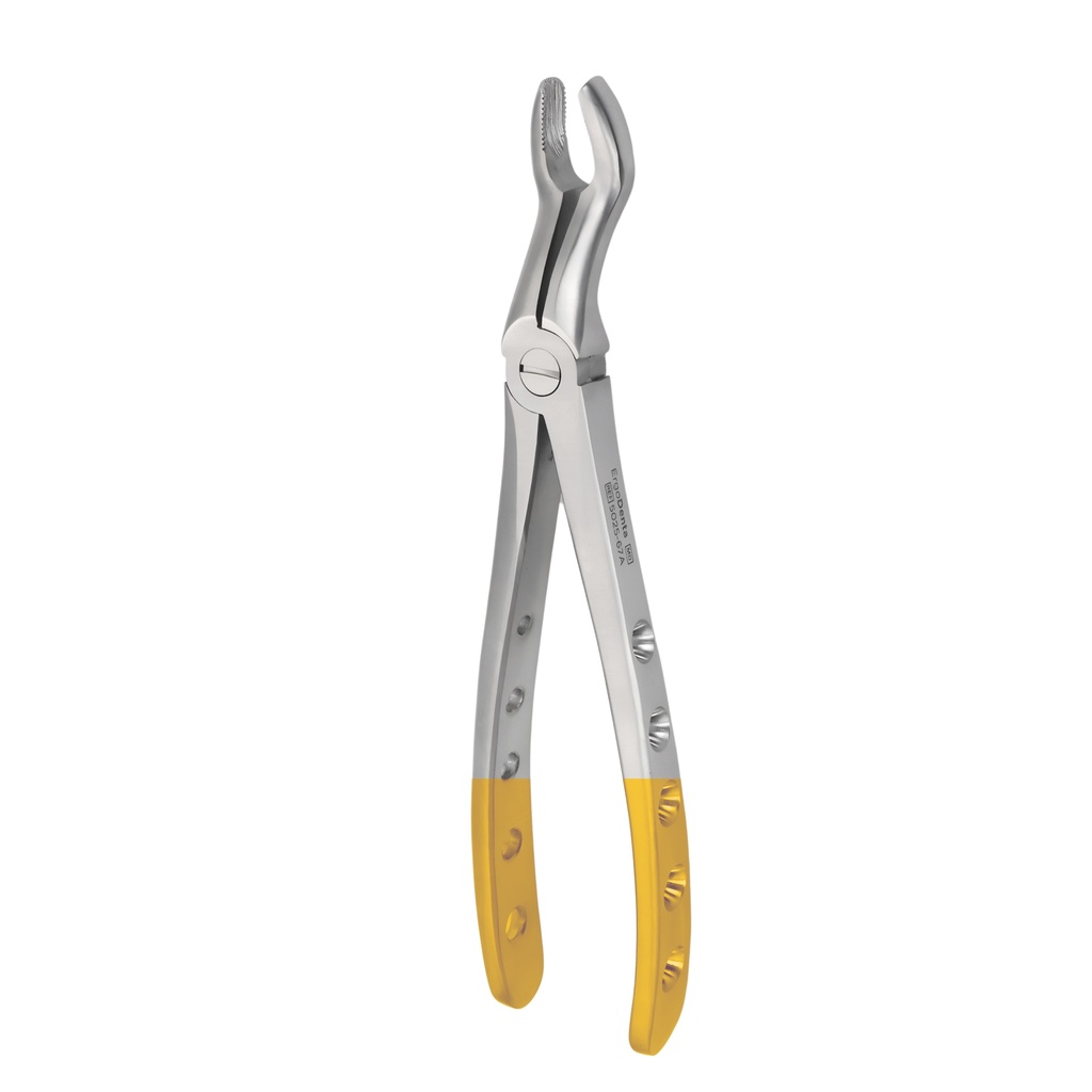 [5025-67A] Upper Molars for Upper Wisdom Teeth | Diamond Extraction Forcep | ErgoDenta