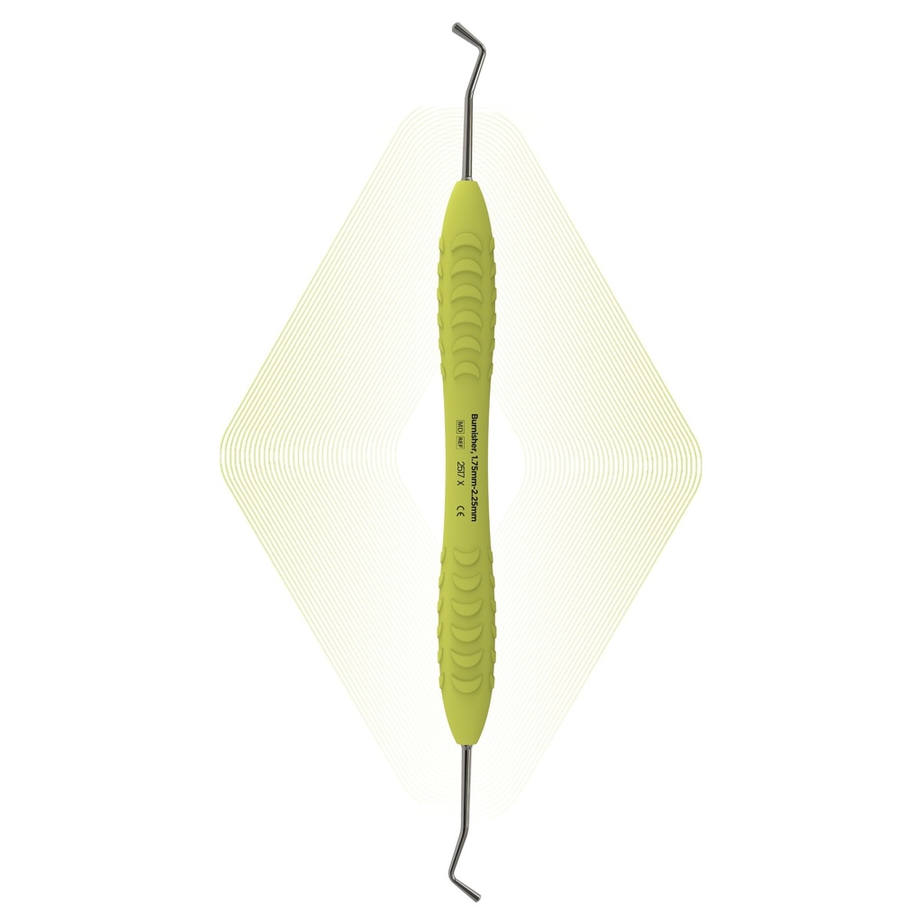 [2517 X] Burnisher, 1.75-2.25mm | ErgoDenta (ErgoX)