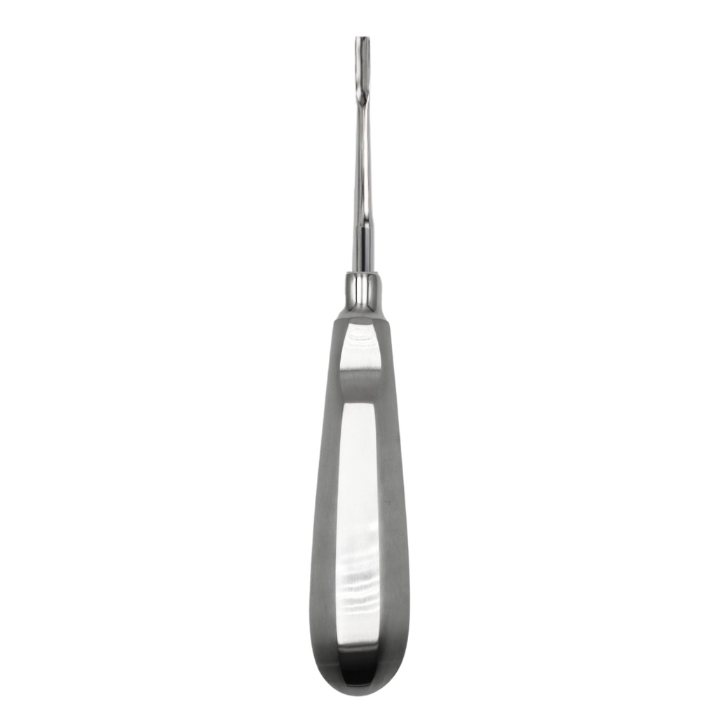 [6047-2] Bein Root Elevator, Straight, Fig. 2 | ErgoDenta