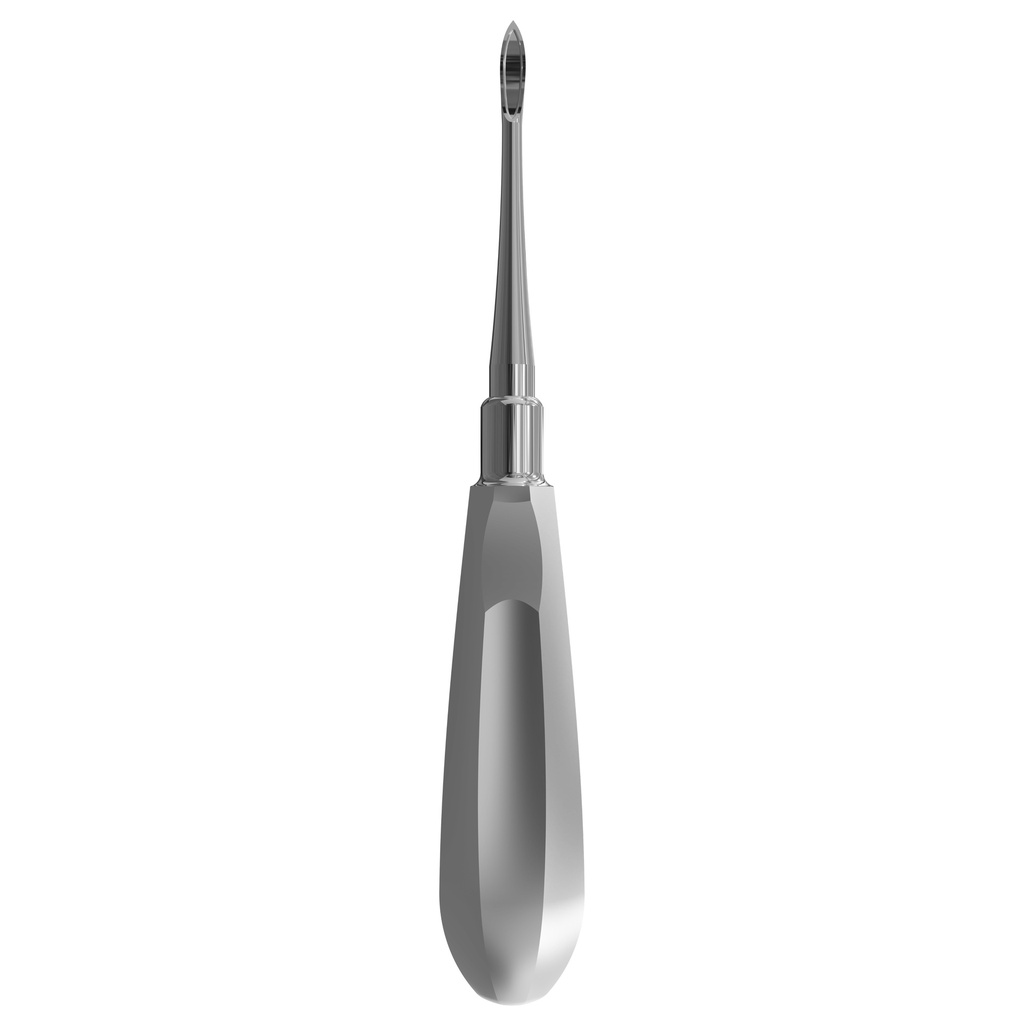 Hylin Root Elevator, Straight, Fig. 2 | ErgoDenta