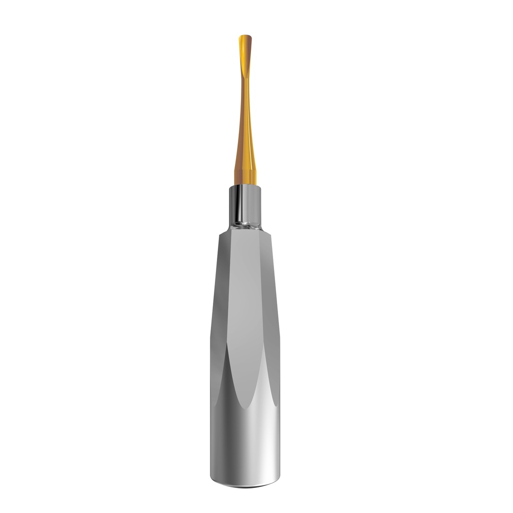 Luxating Elevator Gold, Curved | ErgoDenta