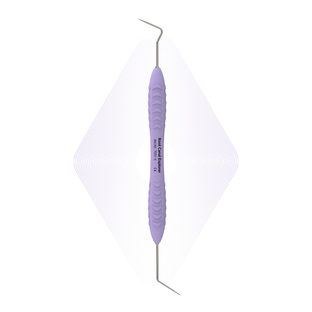 Root Canal Explorer | ErgoDenta