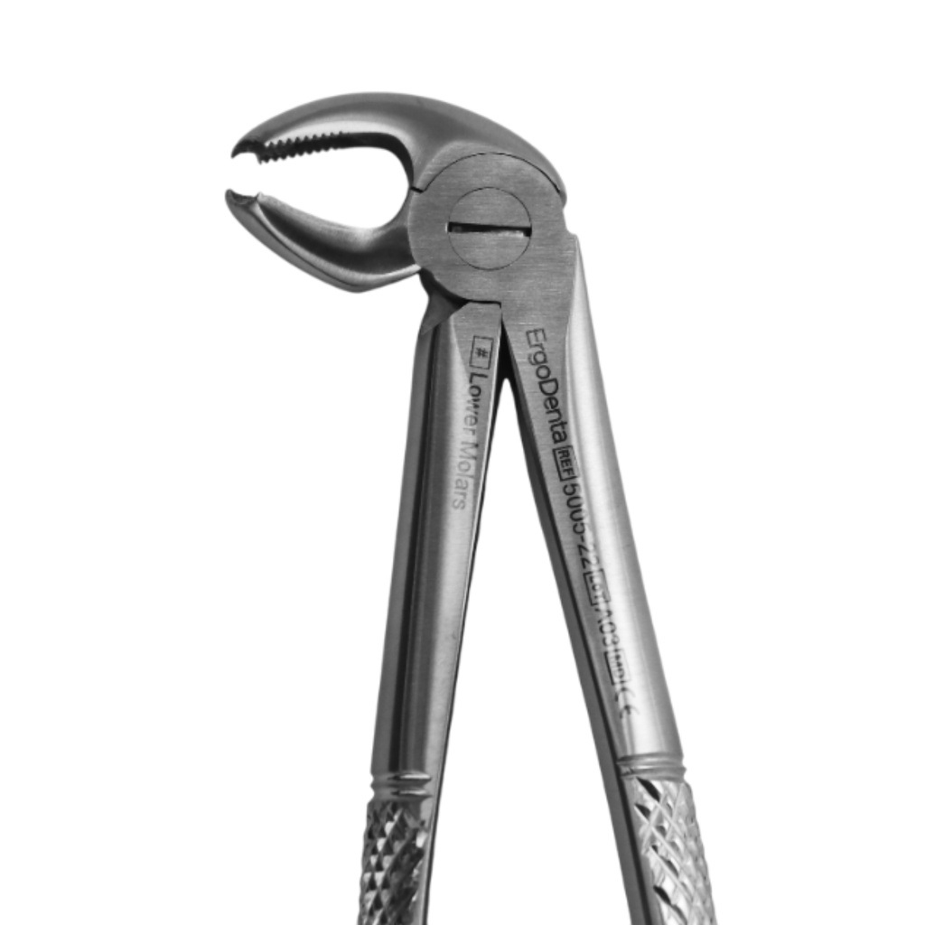 Underkæbemolarer | Standard Extraction Forcep | ErgoDenta